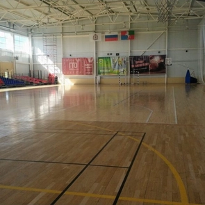 Физкультурно-оздоровительный комплекс Баташев арена | Фото 8
