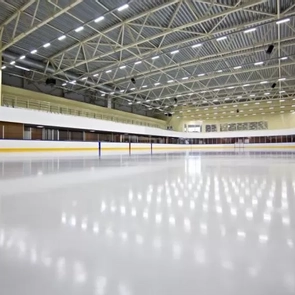 Ледовая арена Ice Rink | Фото 3